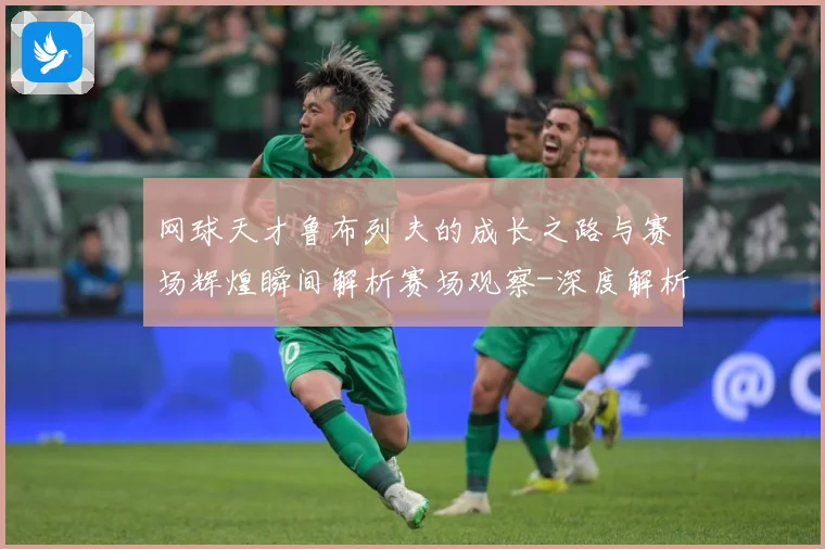 网球天才鲁布列夫的成长之路与赛场辉煌瞬间解析赛场观察-深度解析