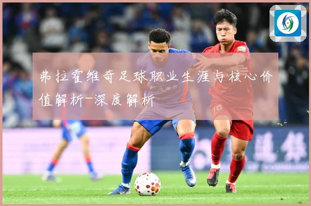 弗拉霍维奇足球职业生涯与核心价值解析-深度解析