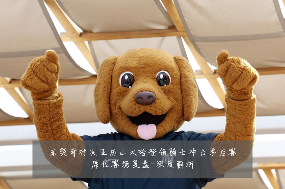 东契奇对决亚历山大哈登领骑士冲击季后赛席位赛场复盘-深度解析